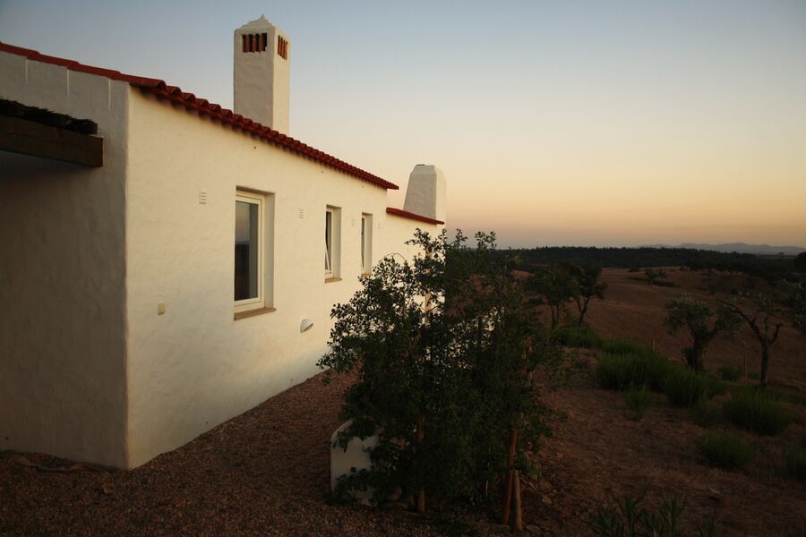 Whitewashed Alentejo farmhouse at dusk with olive trees
