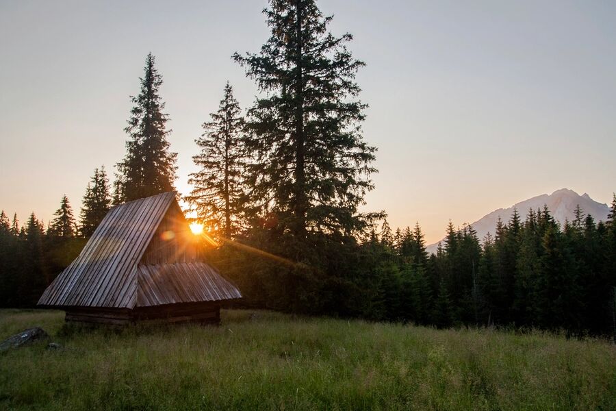 Timber A-frame cabin on a pine slope at sunset