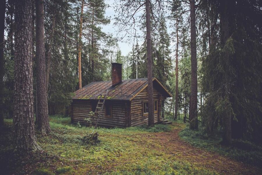 Small wooden cabin among tall trees near a river, Gerês