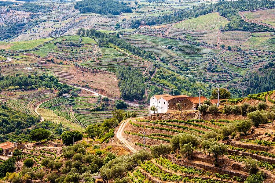 Villa among terraced vineyards above the Douro river
